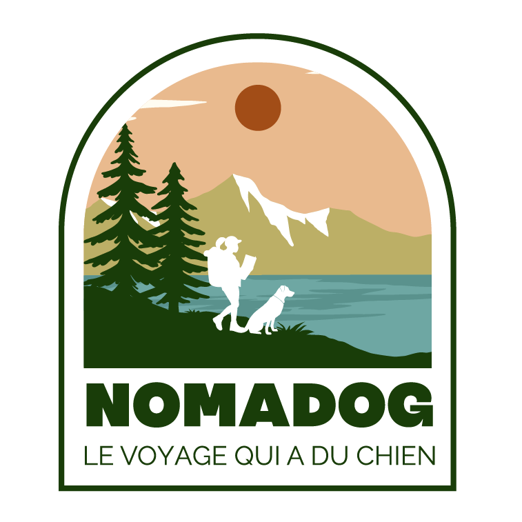 Voyager avec son chien