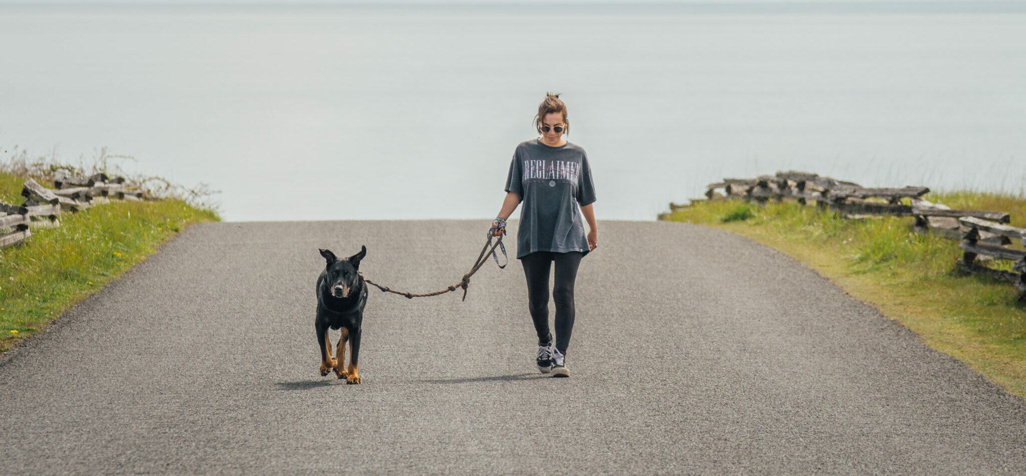 Nomadog Voyager avec son chien