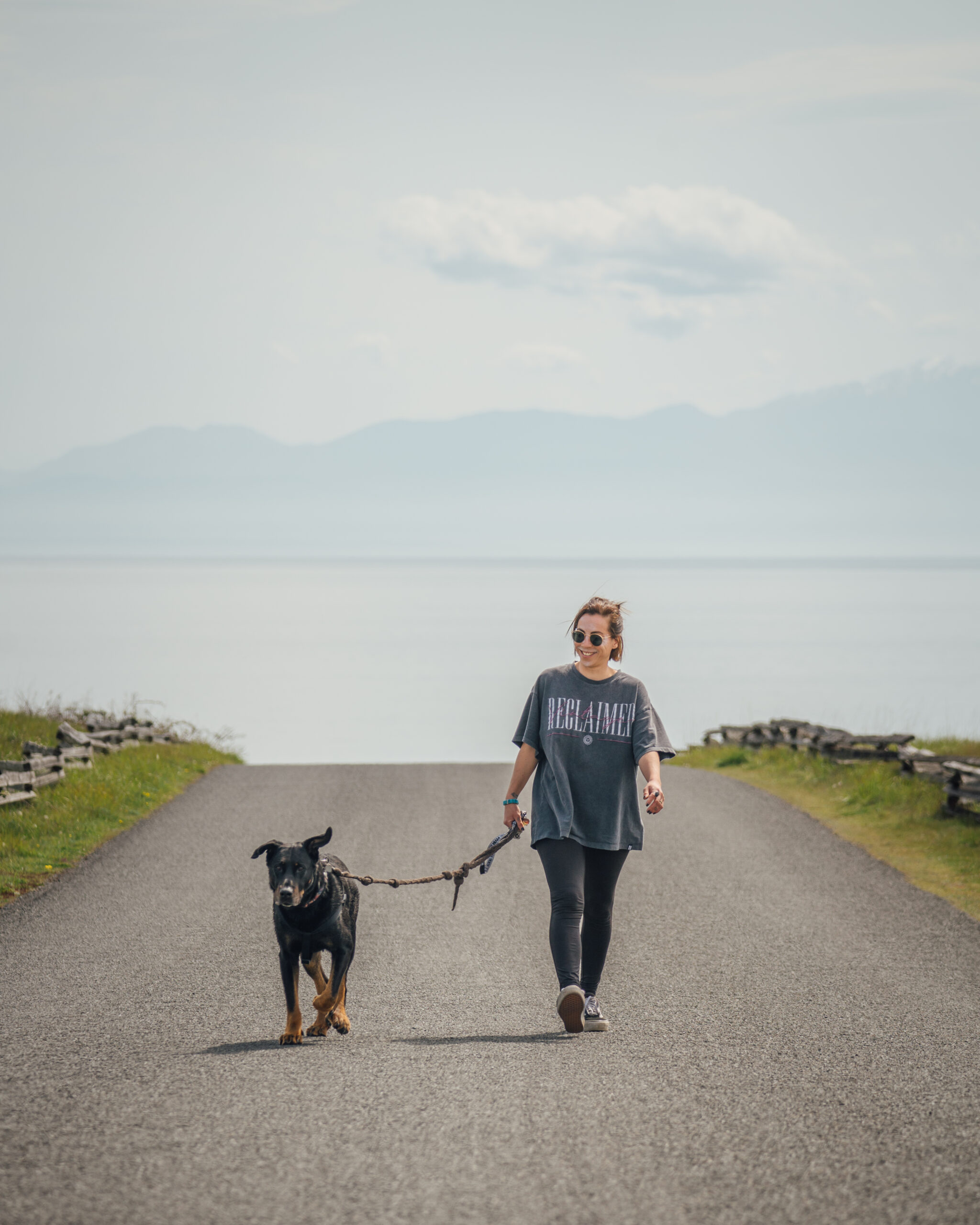 Voyager avec son chien