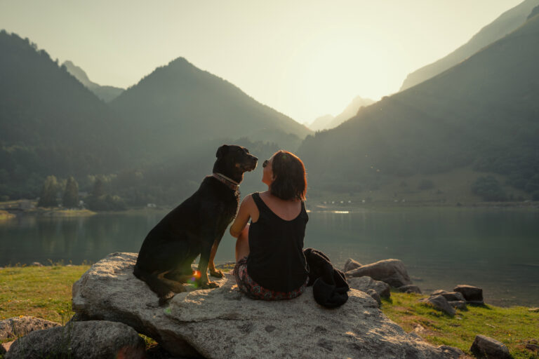 Voyager avec son chien