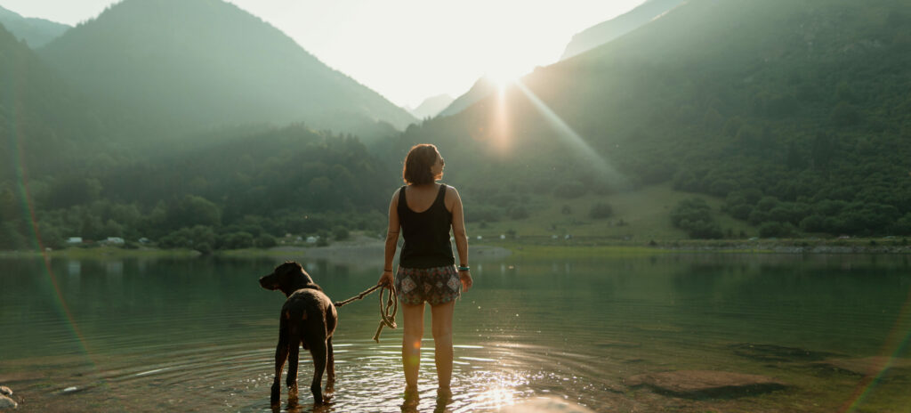 Voyager avec son chien