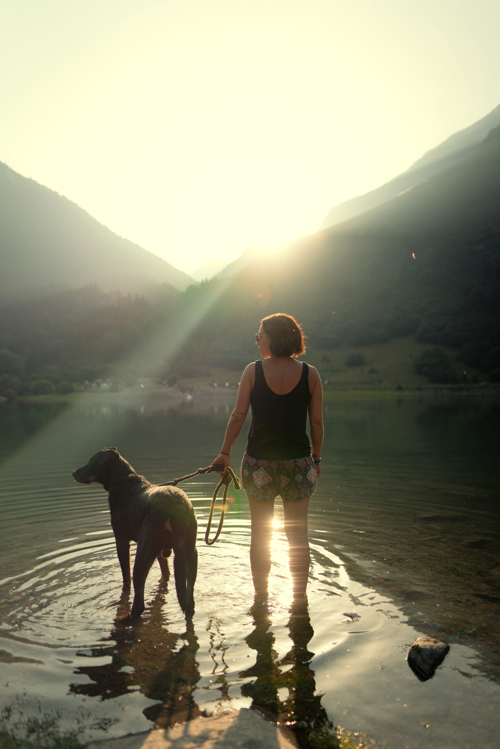 Voyager avec son chien