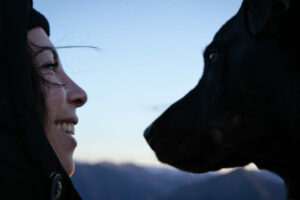 Voyager avec son chien