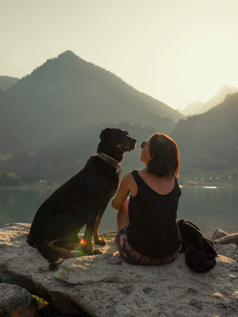 Voyager avec son chien